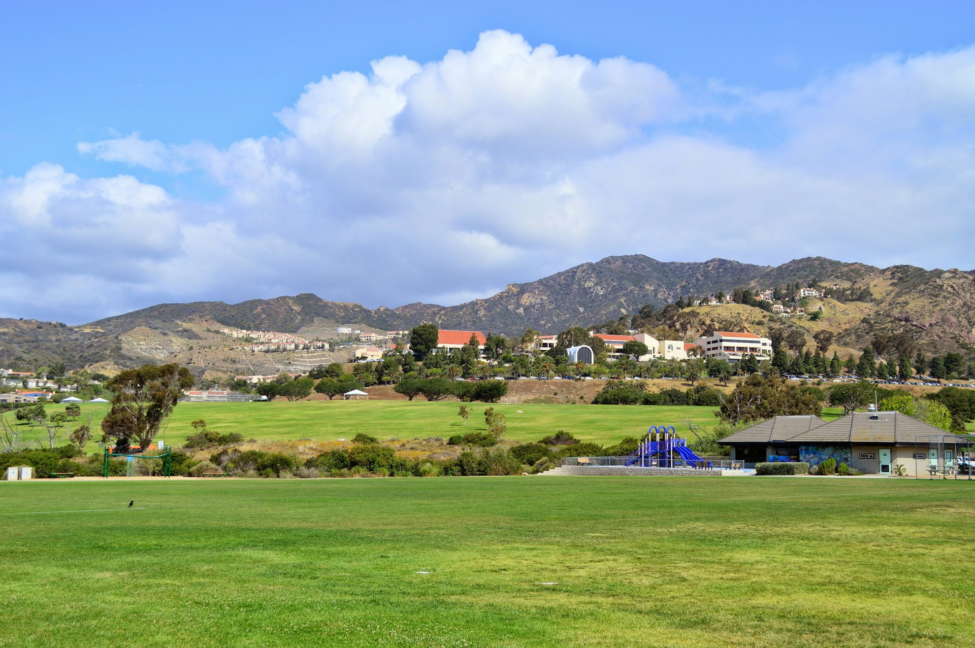 A green soccer field at Malibu Bluffs Park